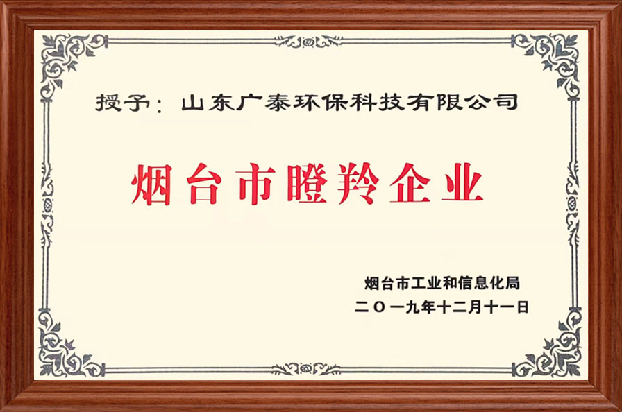 煙臺市瞪羚企業(yè)